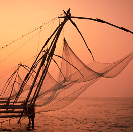 Cochin