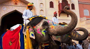 Jaipur Elephant Ride