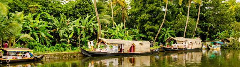Kerala Backwater